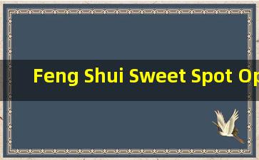 Feng Shui Sweet Spot Optimal Floor Level for Yo* Home